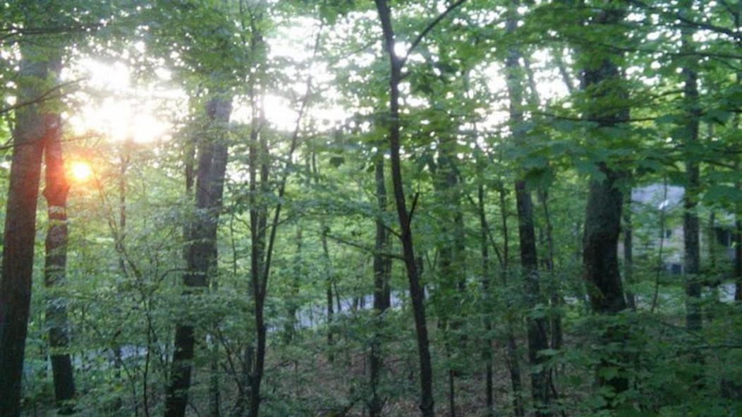 Wintergreen Mount Torry Furnace Bagian luar foto