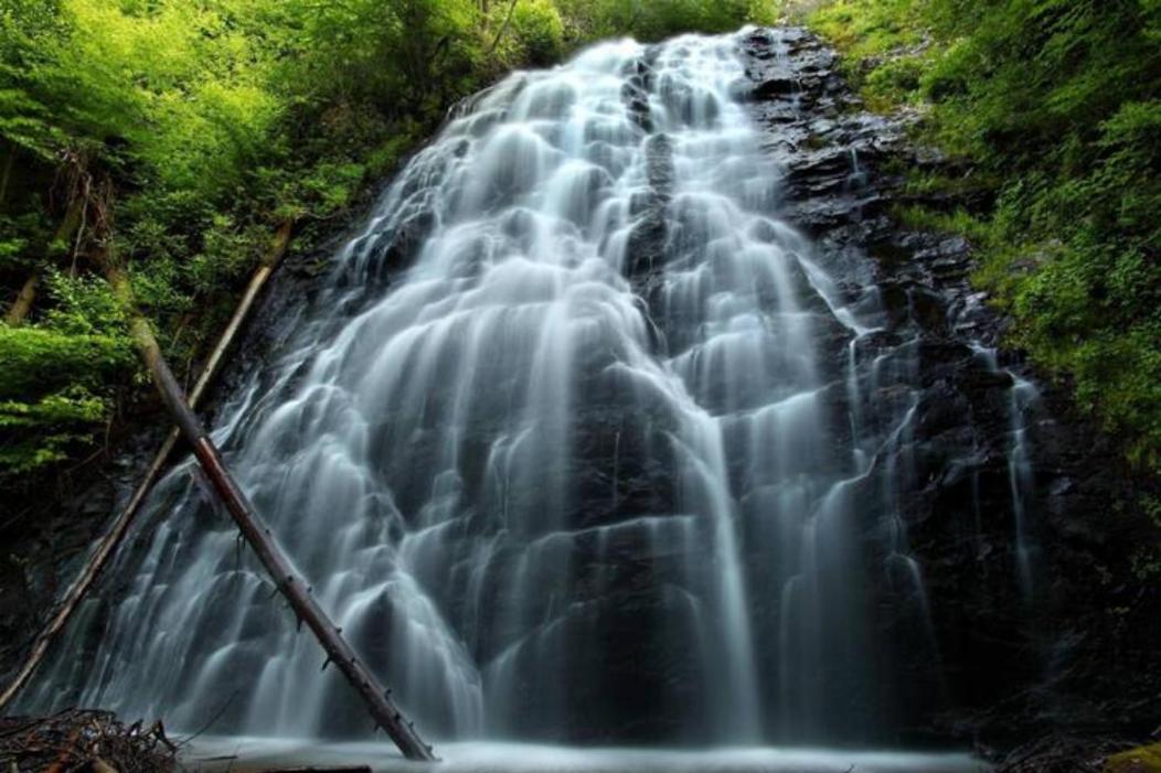 Wintergreen Mount Torry Furnace Bagian luar foto