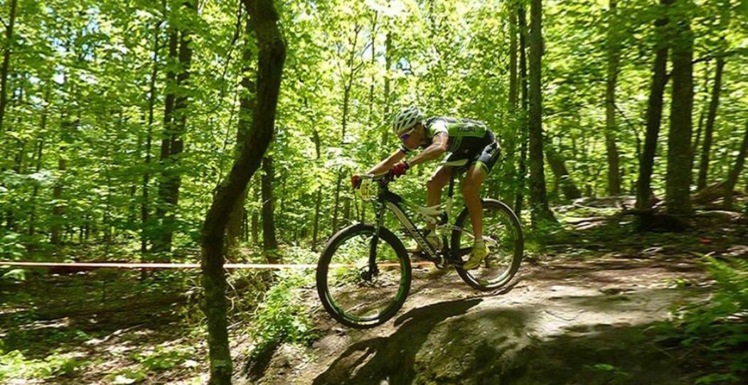 Wintergreen Mount Torry Furnace Bagian luar foto